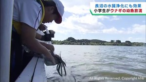 小学生がウナギの幼魚を放流　水質の浄化にも期待　宮城・登米市の長沼