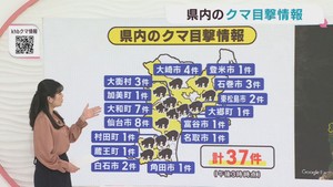 クマの目撃情報　宮城県　１１日午後３時〜１２日午後３時