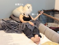 大ブーム中のアカウント「しろい妖精さん」のパロディ