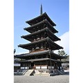 浜田青陵賞の向井佑介・京大准教授　仏塔はなぜ高くなった？　変容を解き明かす