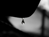 尊敬する男に捨てられた。夜は明けずとも、成長させてくれる鍵になる