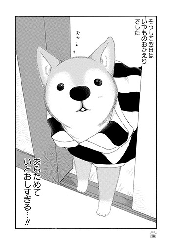 あらためていとおしすぎる。「じじ柴ハチさんは、今日も生きています。」より（竹書房提供）
