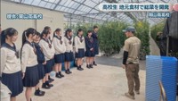 提供：岡山南高校