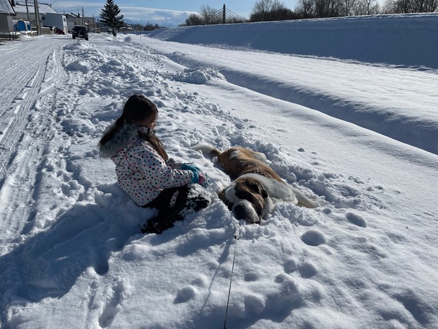 雪にまみれて遊ぶダンテ君と娘さん（コマチさん提供@komachi8991）