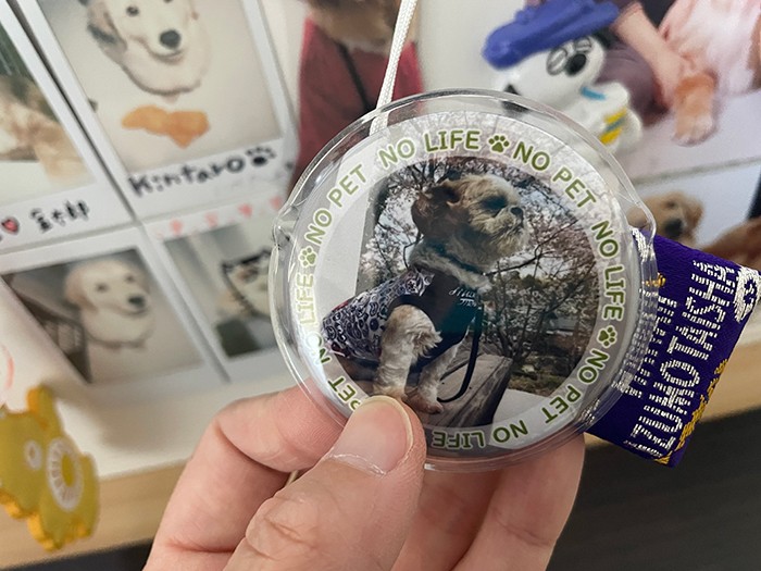 飼い主からもらったRyuのバッジ（八木沼さん提供）