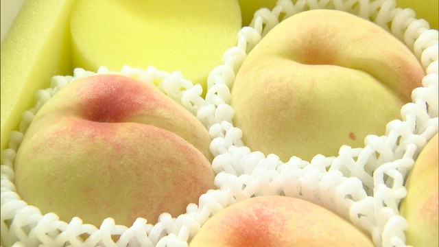 清水白桃など4種類のモモが並ぶ「おかやま桃祭り」　今年のモモは大玉で見栄えが良く出来は上々　岡山・総社市