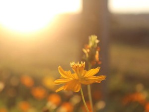 破局したカップルユーチューバーから学んだ、自分らしく生きること