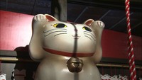 福を届ける招き猫に初詣！全国各地の約800体を展示　岡山市