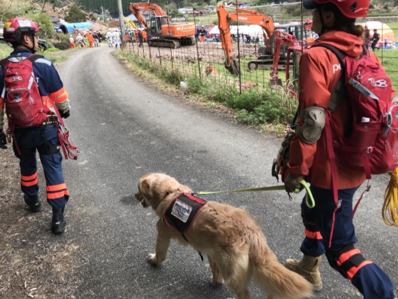 大分県中津市耶馬渓町の災害現場で。