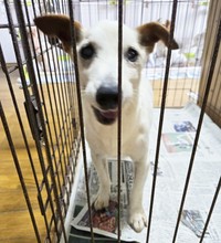 団体がジョンの晩年のお世話をし続けることになりました