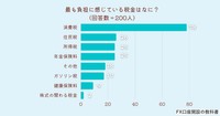 最も負担に感じている税金はなに？（提供画像）