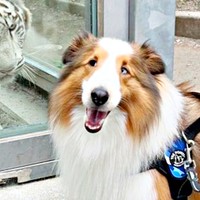天ちゃんが動物園で出会った相手とは！？  （画像提供：むじゅっとてんちゃんさん）