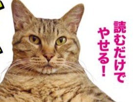 ダイエットに悩む人間へ　デブな猫が授ける格言集