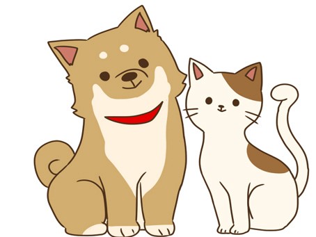 ペットは何歳から高齢期？　飼い主の半数以上が誤って認識