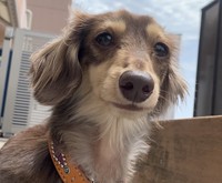 おとくん、頑張ろうね！（おとさん提供）