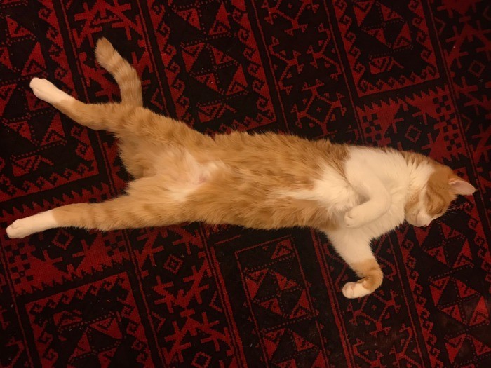 大の字ごろりん、長〜い(笑)