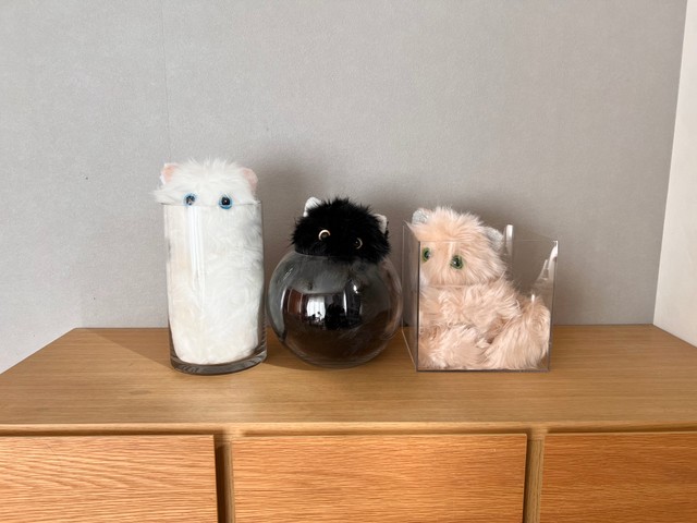 まるで液体！容器に収まる猫のぬいぐるみ