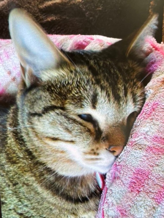 眠るおばちゃん。どんな夢を見ているのかな？