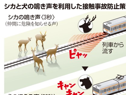 シカと犬の鳴き声で電車と接触防止！ 鉄道総研がつきとめる