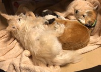 家ではこんな風にまったり