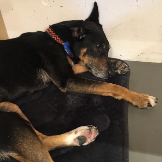 眠いけど眠れないんだよね〜