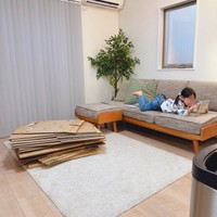 【ビフォー写真】作成前のなんてことのないダンボールの山とくつろぐ娘さん（提供：黒主くんさん）