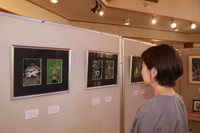 「虫の顔」をテーマにした写真展の会場