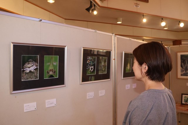 「虫の顔」をテーマにした写真展の会場