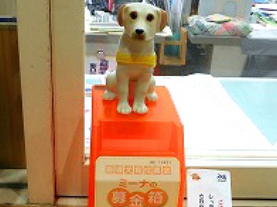 盲導犬協会の「ミーナの募金箱」、盗まれる　北海道警が捜査