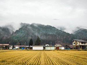 最近は静かな田舎の空気が好きに。こうして大人になっていくんだろう