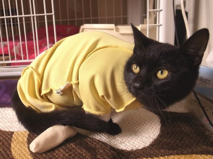 足をなめてしまうので、お母さん特製の靴下を履いている