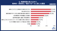 残業時間の長さ以外で、精神的・肉体的に“働きすぎ”だと感じる要因（提供画像）
