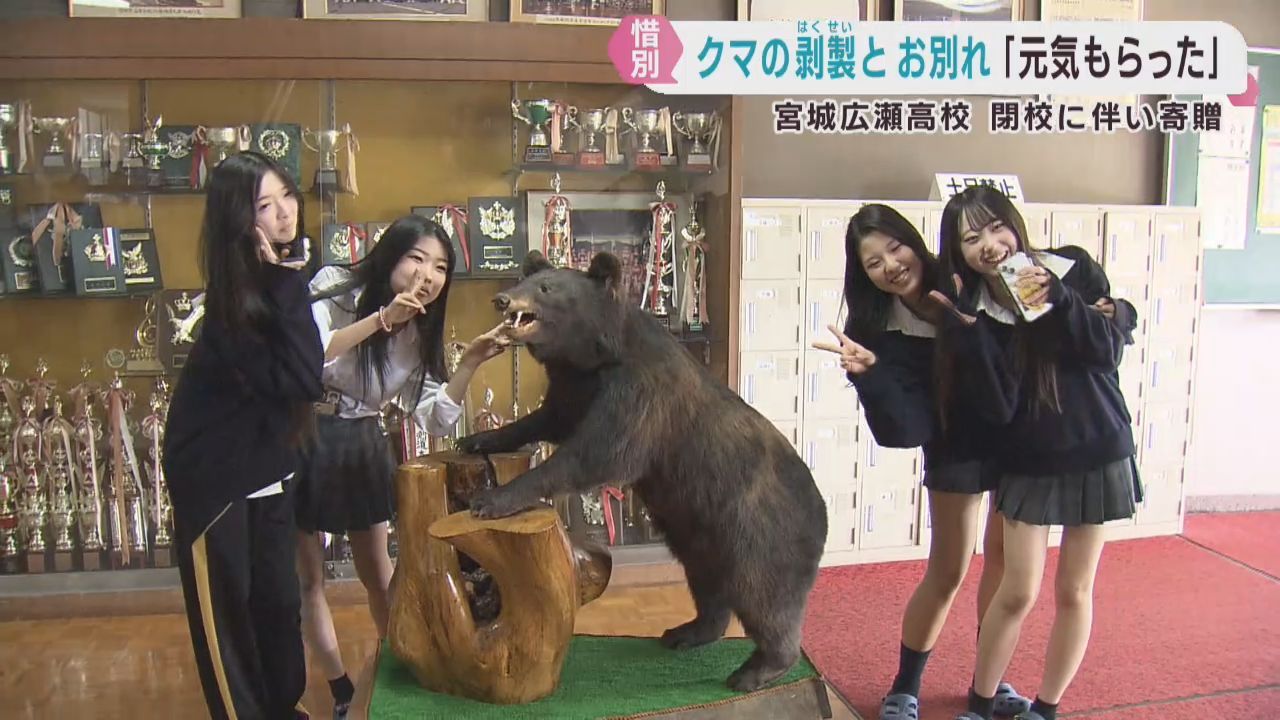 ツキノワグマのはく製　閉校する宮城広瀬高校から仙台市科学館に寄贈
