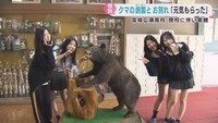ツキノワグマのはく製　閉校する宮城広瀬高校から仙台市科学館に寄贈