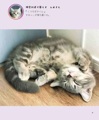 『くつろぎタイム』すみっこが落ち着くの（へそ天にゃんこ２/三笠書房）