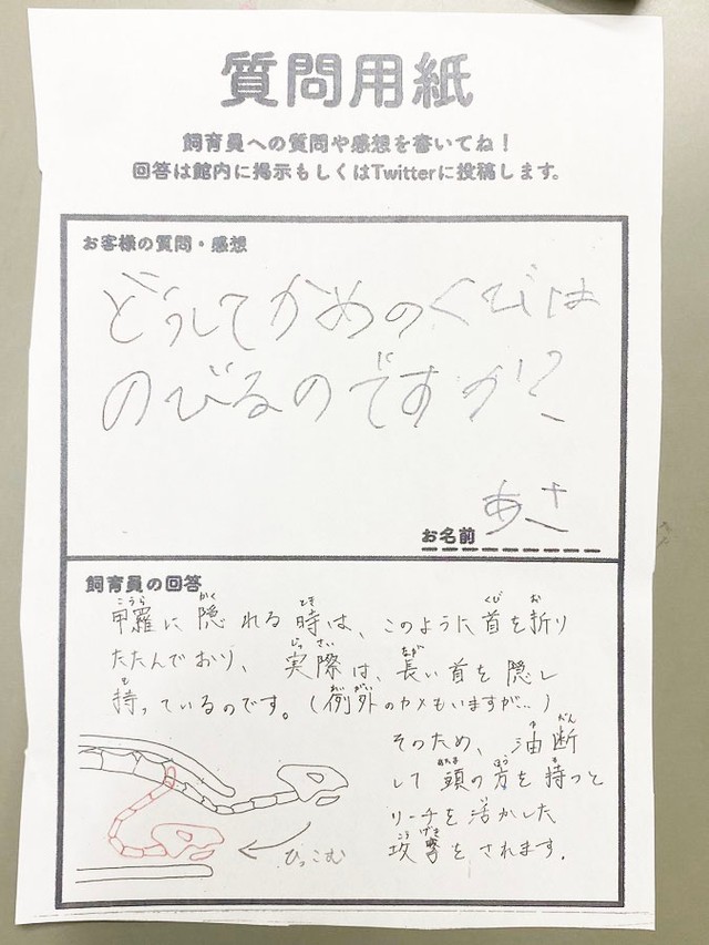 さすがの知識！勉強になります（画像提供：道の駅ウミガメ公園【公式】）