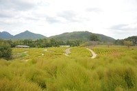 復旧作業中（国営讃岐まんのう公園 9月8日撮影）