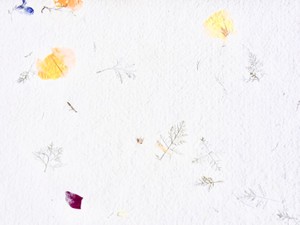 三半規管が弱い私は、電車で物思いにふけり、空想の世界を堪能する