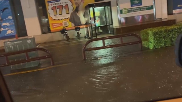 視聴者 提供