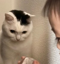 なぜか隠れて一緒に見るふたり（提供：まつもとたけるさん）※一部トリミング