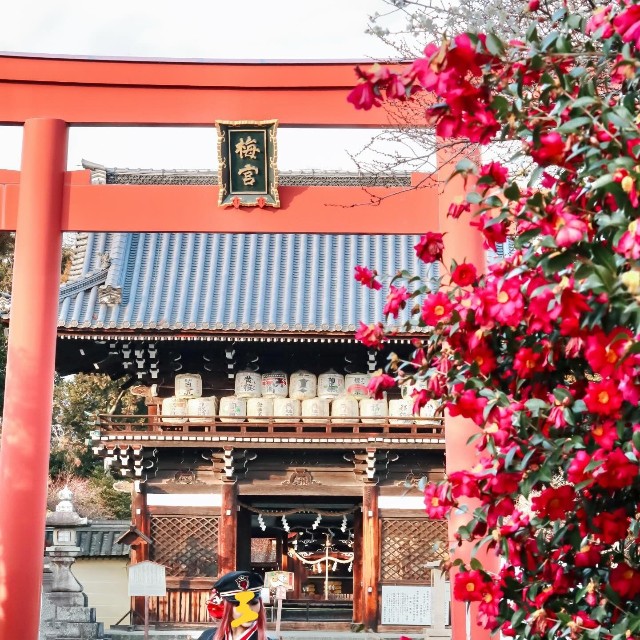 マダムに絶賛された和洋折衷の着物コーデ／小紅さん（@kobenibiyori）提供