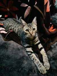 初日のみりちゃん。少し緊張。