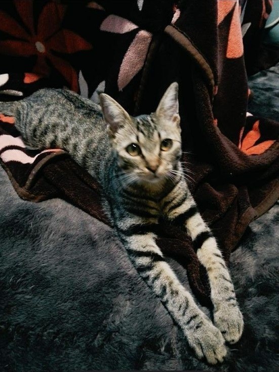 初日のみりちゃん。少し緊張。