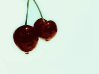 今すぐ手を取り合えなくても。仕事人間だった私を救う彼との関係