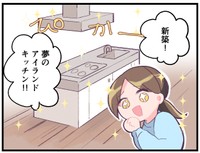 夢のアイランドキッチンでしたが…