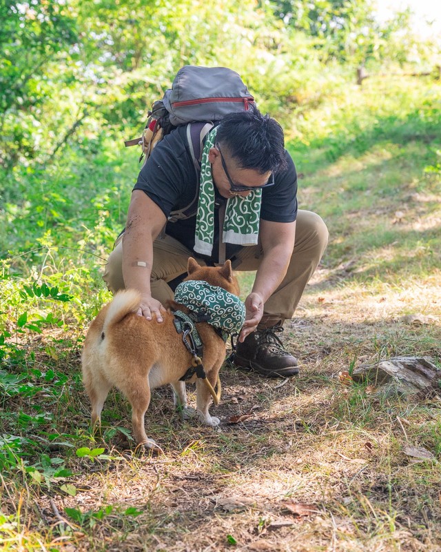 互いの無事を確かめ合います（画像提供：柴犬たけちよさん）