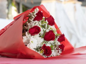 結婚も夢見ず、ひとりで生きていくと思っていた半年後のプロポーズ