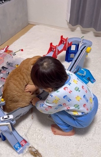 車が止まり、なぎくんの肉を持ち上げる息子さん（「ʜᴀᴋᴜ ɴᴀɢɪ」さん提供、Instagramよりキャプチャ撮影）