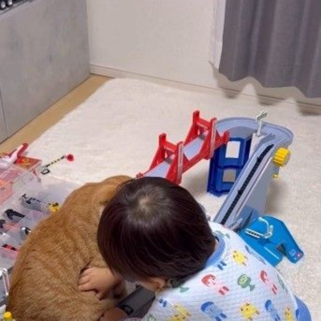 車が止まり、なぎくんの肉を持ち上げる息子さん（「ʜᴀᴋᴜ ɴᴀɢɪ」さん提供、Instagramよりキャプチャ撮影）