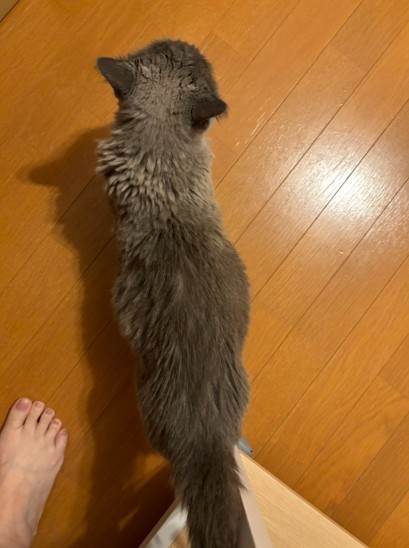 不自然なお腹の膨らみ